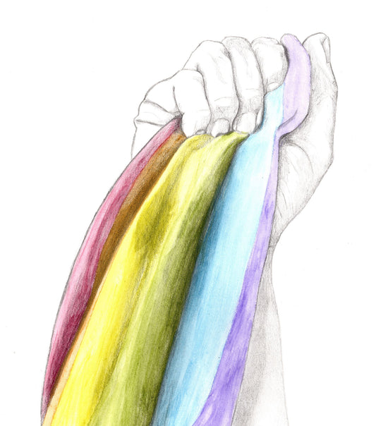 Alex Shaver's pencil drawing and water-colored artwork titled Pride depicts an uncolored hand holding a rainbow pride flag up into the air. 